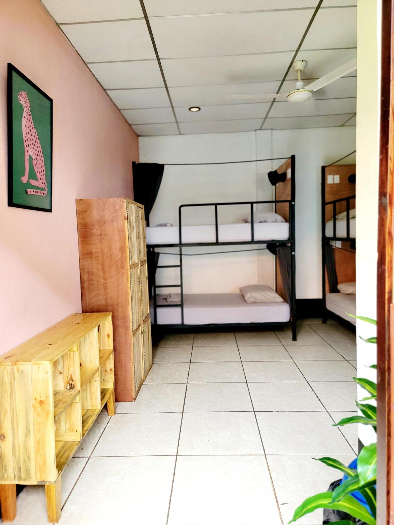 Poco A Poco Hostel León Exterior foto